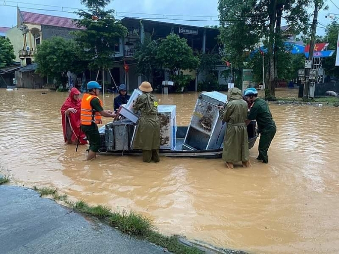 Lực lượng chức năng tỉnh Nghệ An di chuyển tài sản và đưa người dân đến vùng an toàn. 