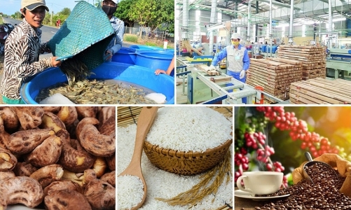 Đưa công nghệ vào sản xuất nông sản để giảm dần xuất khẩu thô