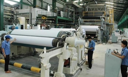Doanh nghiệp muốn đầu tư 2.000 tỷ phát triển chuỗi cung ứng nguyên liệu cho nhà máy bột - giấy tại Quảng Ngãi