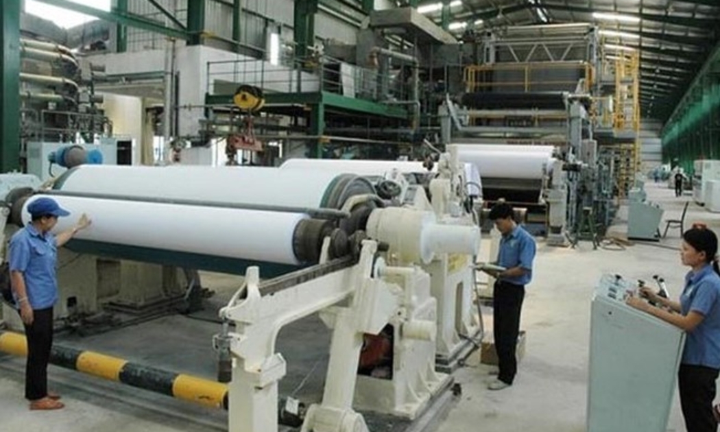 Đa số các doanh nghiệp vẫn phải nhập lại bột giấy thành phẩm về làm nguyên liệu sản xuất giấy