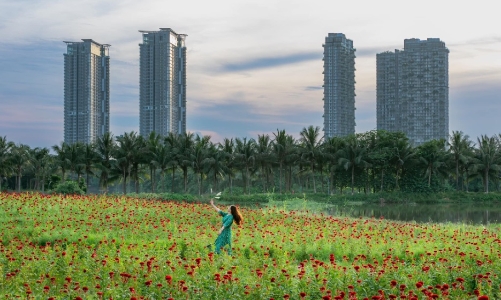 Những công trình tạo dấu ấn kì tích của Ecopark kể cả khi thị trường nhiều biến động
