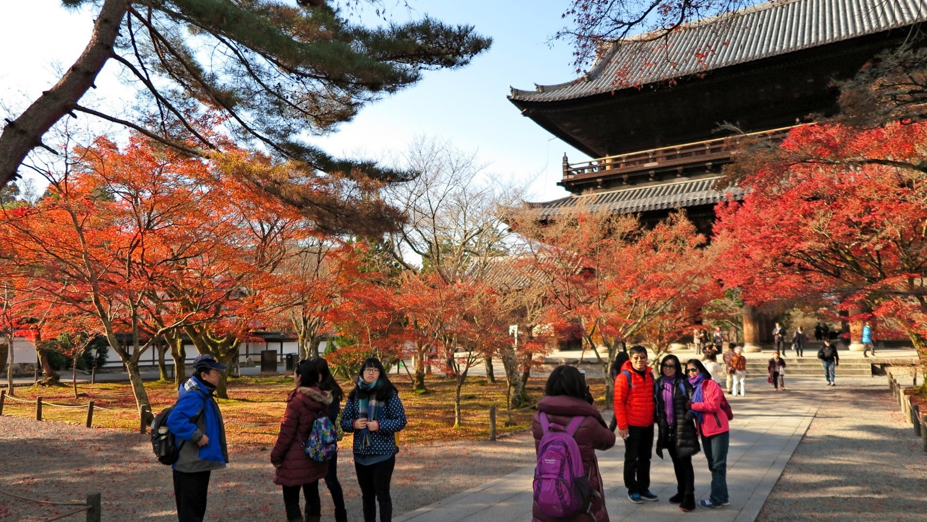 Dự kiến trong hai th&aacute;ng tới, lượng kh&aacute;ch Việt đến Nhật tiếp tục tăng do tr&ugrave;ng thời điểm m&ugrave;a l&aacute; đỏ. Ảnh: Nikkei Asia