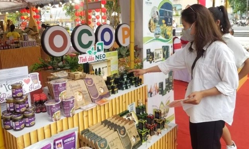 Nhiều doanh nghiệp trên cả nước quảng bá sản phẩm OCOP tại Thừa Thiên Huế 