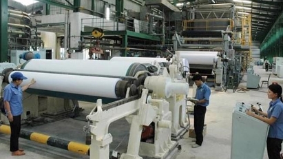 Company proposes developing forest for paper production materials