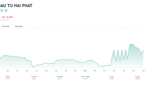 Năm 2023, HPX dự kiến lãi 120 tỷ và tiếp tục không chia cổ tức