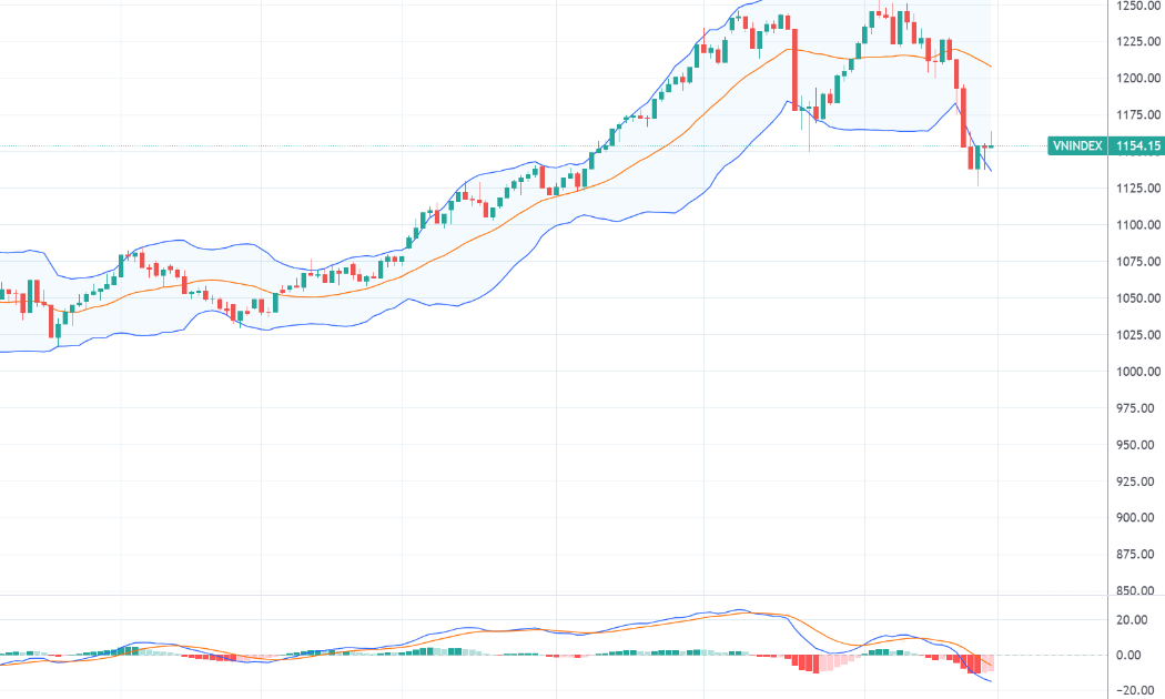 Chỉ số VN-Index và chỉ báo kỹ thuật MACD.