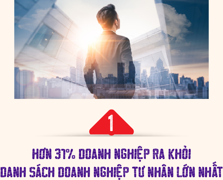 Nâng cao năng lực quản trị cho doanh nghiệp tư nhân Việt Nam - Ảnh 3