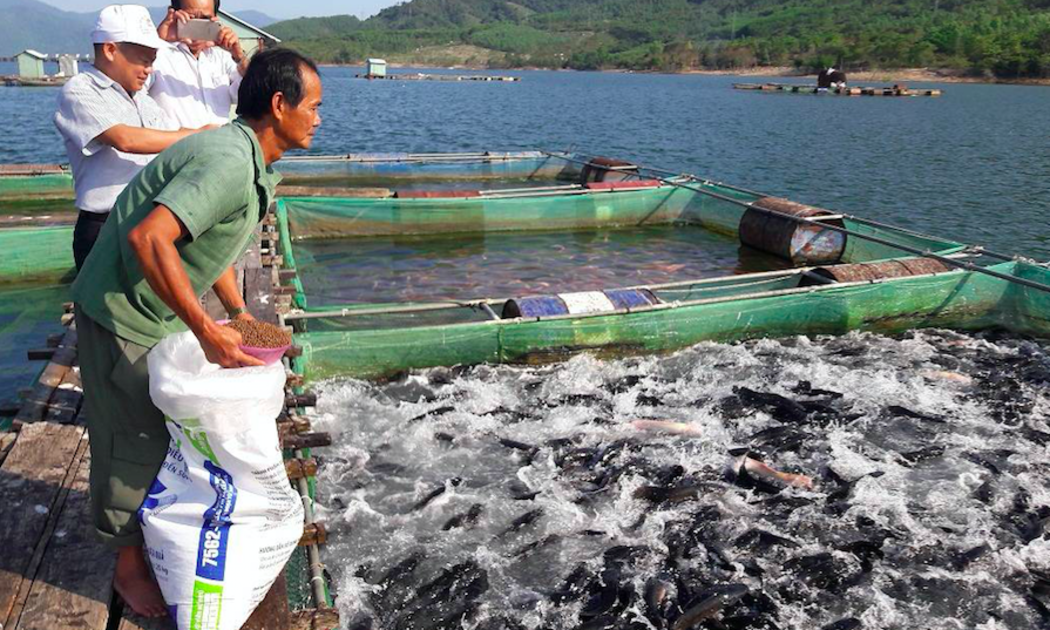 Ngành thủy sản đang dần thoát khỏi khó khăn.