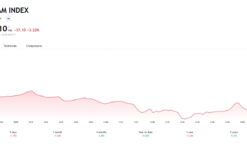 Công ty chứng khoán nhận định gì khi VN-Index thủng đáy? 