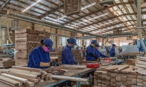 Phụ nữ bảo vệ rừng vẫn thiệt thòi trong chi trả dịch vụ môi trường rừng