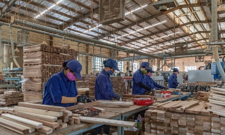 Phụ nữ bảo vệ rừng vẫn thiệt thòi trong chi trả dịch vụ môi trường rừng