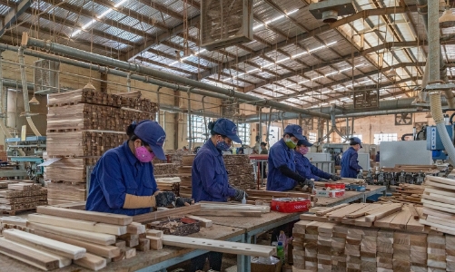 Phụ nữ bảo vệ rừng vẫn thiệt thòi trong chi trả dịch vụ môi trường rừng