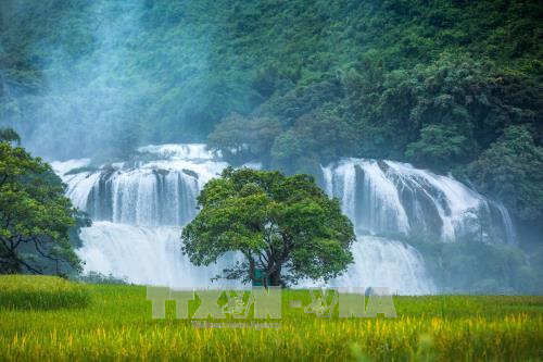 Ban Gioc Waterfall Tourism Festival 2023 underway