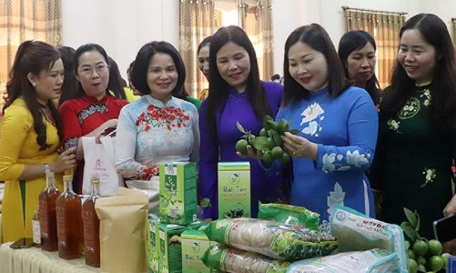 Kinh tế trưởng IFC tại Việt Nam: ESG không chỉ “có thì tốt” mà là “cần phải có”