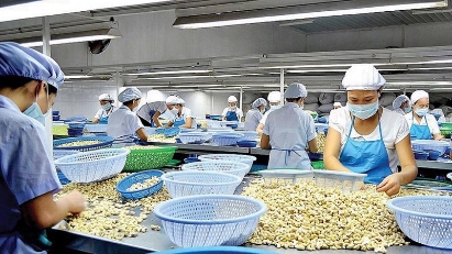 Vietnam & UAE agree to boost investment and trade cooperation