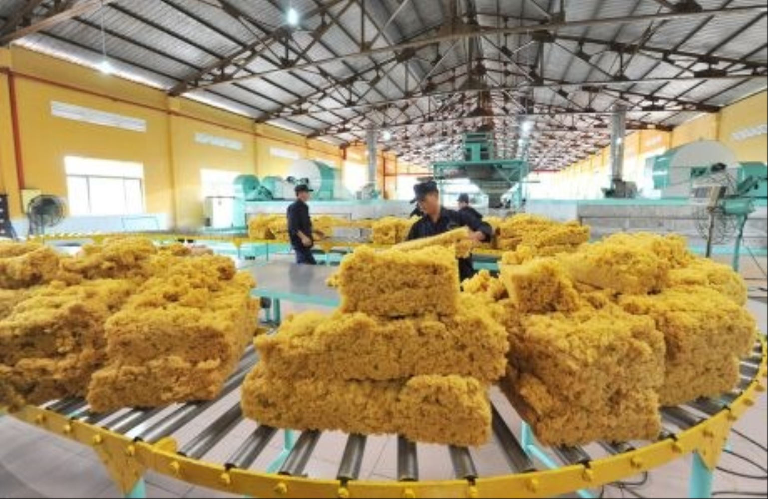 Xuất khẩu cao su vẫn chủ yếu là sản phẩm sơ chế.