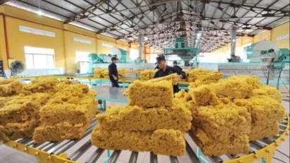 9M rubber exports earn $1.89bln