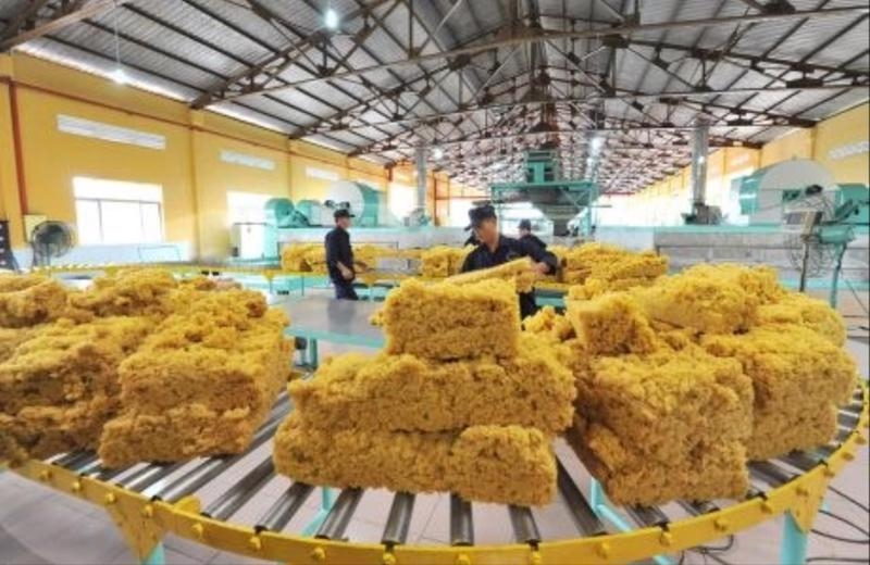 9M rubber exports earn $1.89bln