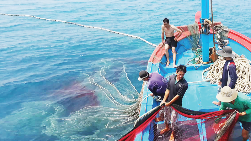 Vietnam ready for 4th inspection by EC on illegal fishing