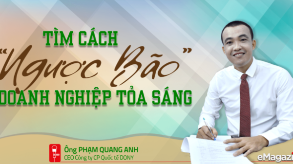 Tìm cách “ngược bão”: Doanh nghiệp tỏa sáng