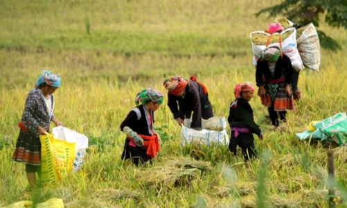 Phấn đấu giải ngân hơn 90% vốn Chương trình mục tiêu quốc gia giảm nghèo năm 2023