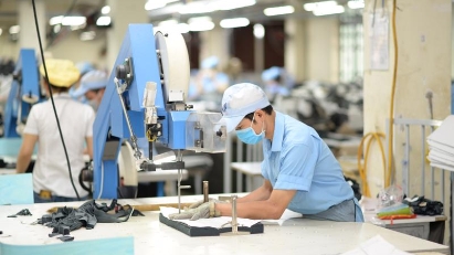 Thai Binh posts export revenue of $2bln in 9M
