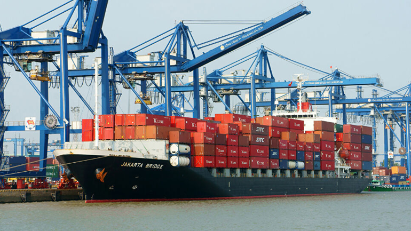 Brand building needed for Vietnamese products in CPTPP markets