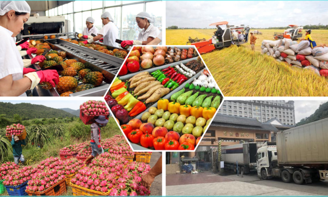 Xuất khẩu nông lâm thủy sản quý 4 cần đem về 15,5 tỷ USD.
