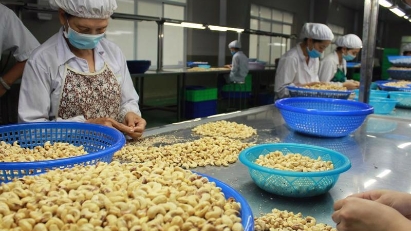 Companies receive payment for farm produce allegedly subject to scam in UAE