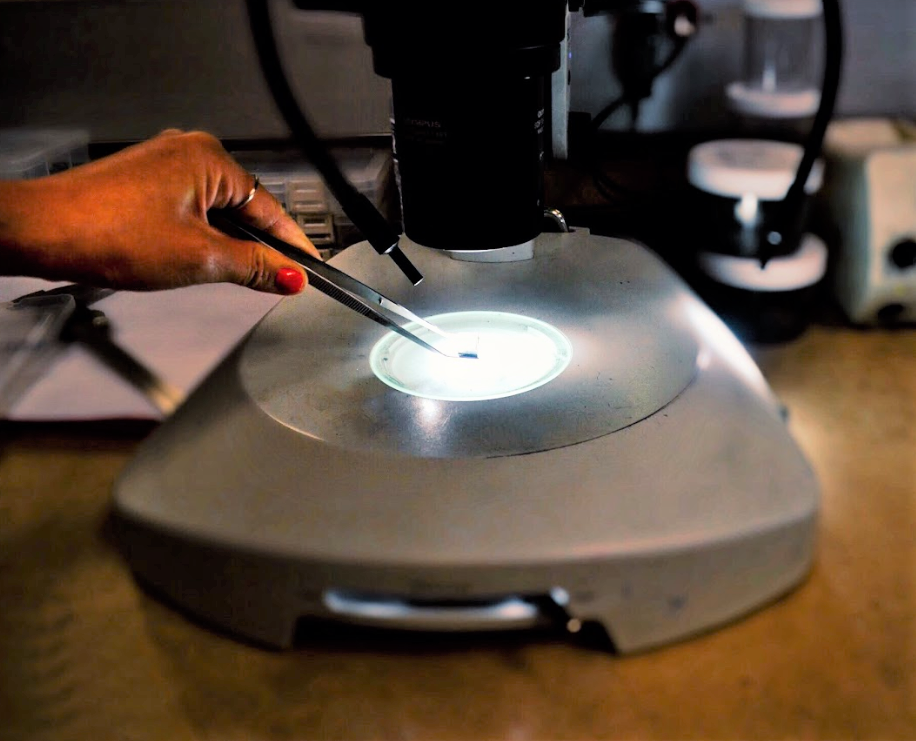 Giới chuy&ecirc;n gia cảnh b&aacute;o rằng lĩnh vực kim cương nh&acirc;n tạo sẽ sụp đổ do t&igrave;nh trạng sản xuất qu&aacute; mức đẩy ng&agrave;nh n&agrave;y v&agrave;o t&igrave;nh trạng thua lỗ do gi&aacute; giảm s&acirc;u.