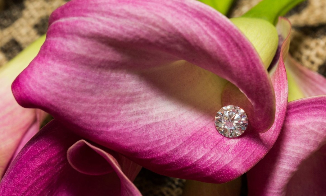 Ảnh: WD Lab Grown Diamonds
