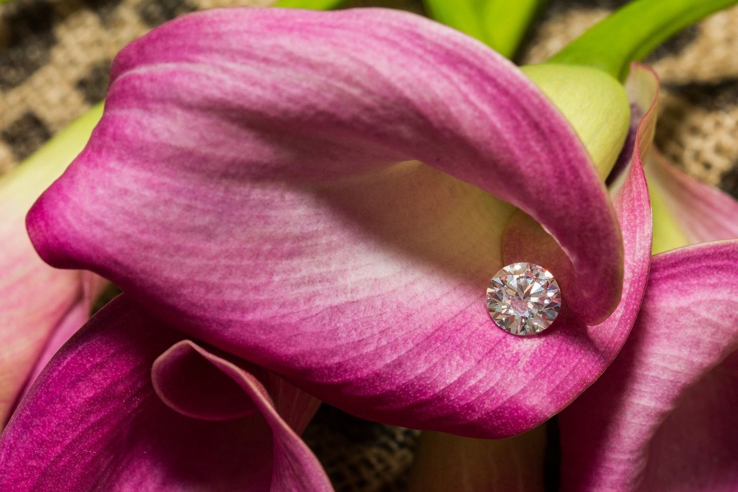 Ảnh: WD Lab Grown Diamonds