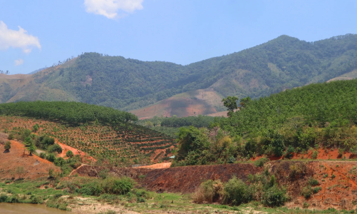 Tiếp tục kiểm tra, xử lý nghiêm vi phạm trong sử dụng đất nguồn gốc nông lâm trường
