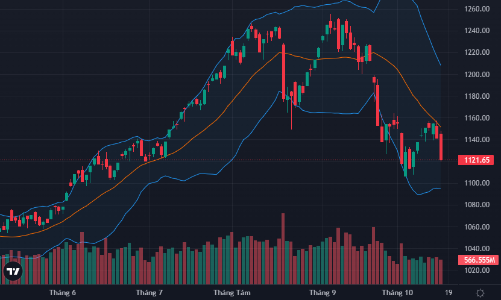 Lại tranh bán tháo, gần 30 mã giảm sàn, VN-Index rơi mạnh nhất 10 phiên
