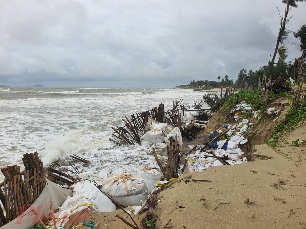 H&agrave;ng trăm m&eacute;t bờ biển phường Cẩm An, TP Hội An, Quảng Nam đang bị sạt lở do s&oacute;ng lớn
