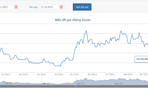 Chậm nộp báo cáo bán niên 2023 soát xét, cổ phiếu SJF bị chuyển sang diện hạn chế giao dịch