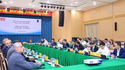 Vietnamese & Algerian businesses seek cooperative opportunities