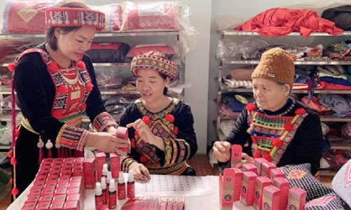 Cần thêm giải pháp mạnh để thúc đẩy tiêu thụ sản phẩm vùng đồng bào dân tộc thiểu số trên sàn thương mại điện tử