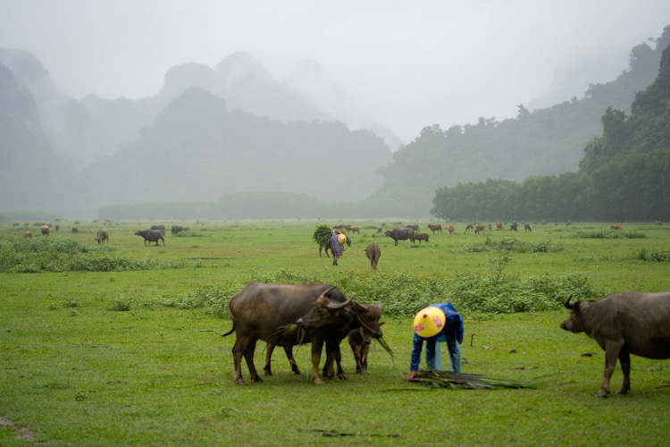 Làng Tân hoá với vẻ đẹp hoang sơ