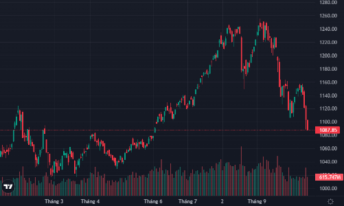 Cầu bắt đáy nằm im, hàng cắt lỗ bị ép bán tháo