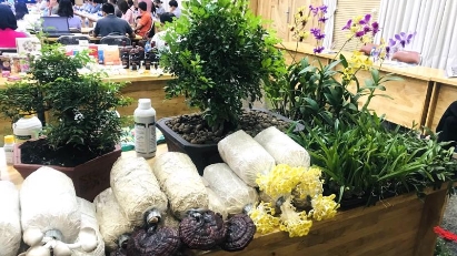 HCMC looks to raise agricultural production value to $40,800 per ha by 2030