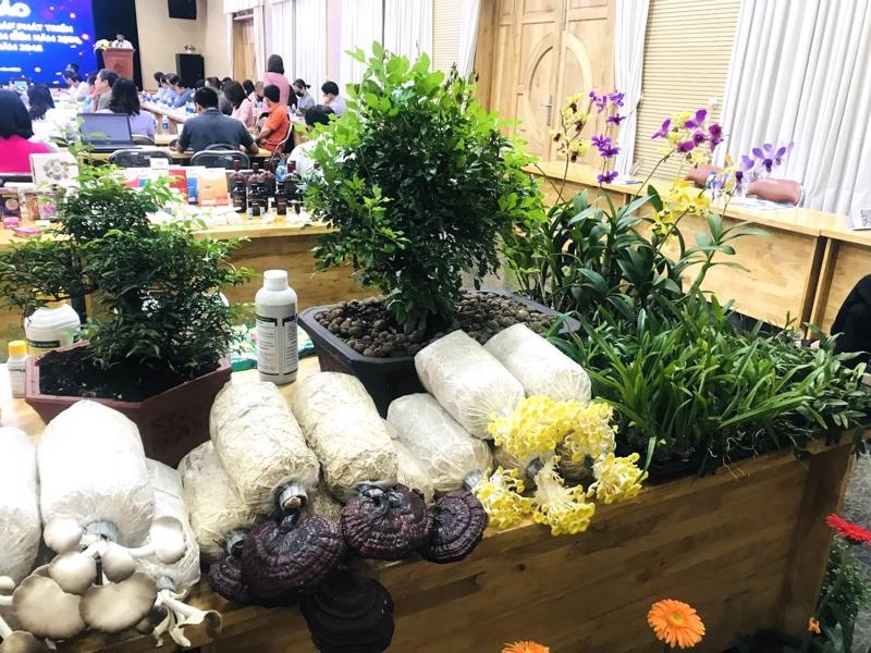 HCMC looks to raise agricultural production value to $40,800 per ha by 2030