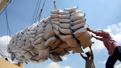 Philippines, China & Indonesia remain biggest rice export markets