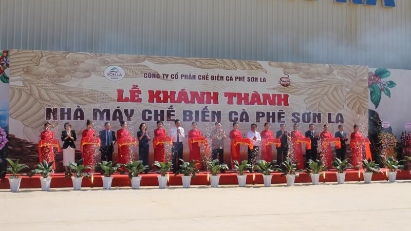Coffee production facility opens in Son La
