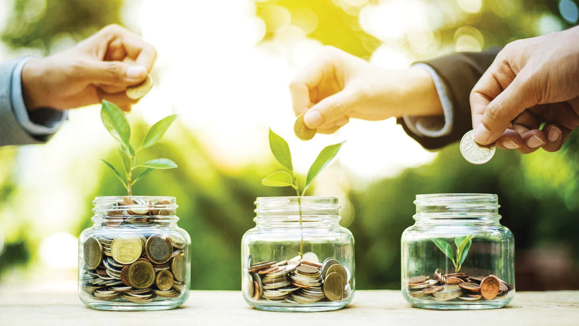 Tín dụng xanh tăng trưởng bình quân 23%/năm.