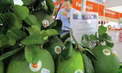 Doanh nghiệp cần tận dụng tối đa cơ hội sau khi Việt – Mỹ thành đối tác chiến lược toàn diện 