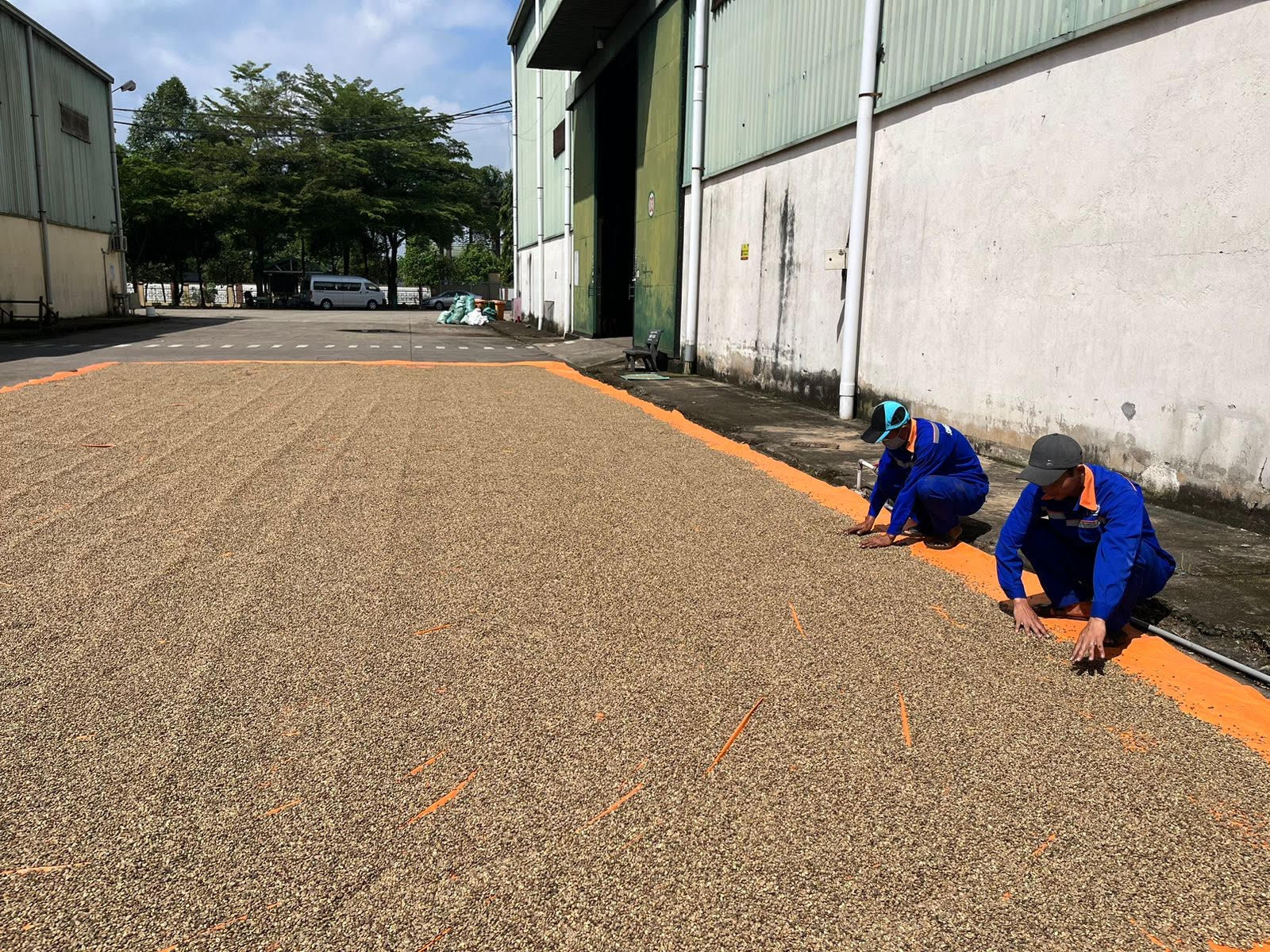 Kho c&agrave; ph&ecirc; của một doanh nghiệp được cơ cấu nợ v&agrave; giảm l&atilde;i suất bởi VietinBank Đắc Lắc. Ảnh: An Thơ.