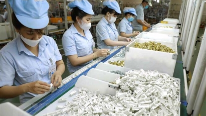 Over half a million works at Japanese companies paying social insurance