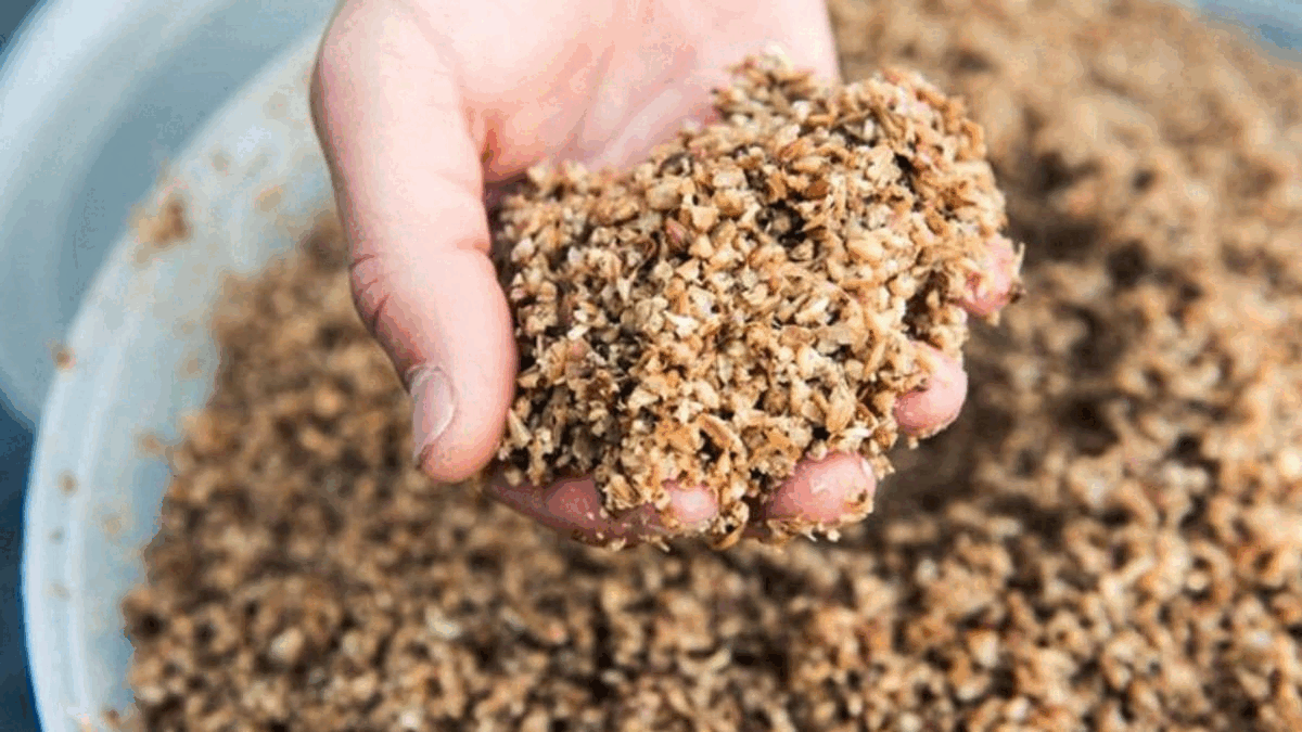 Xu hướng hiện nay trong ng&agrave;nh F&B l&agrave; &ldquo;upcycle&rdquo;.