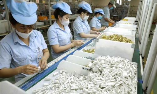 Hơn nửa triệu lao động doanh nghiệp FDI Nhật Bản tham gia bảo hiểm xã hội